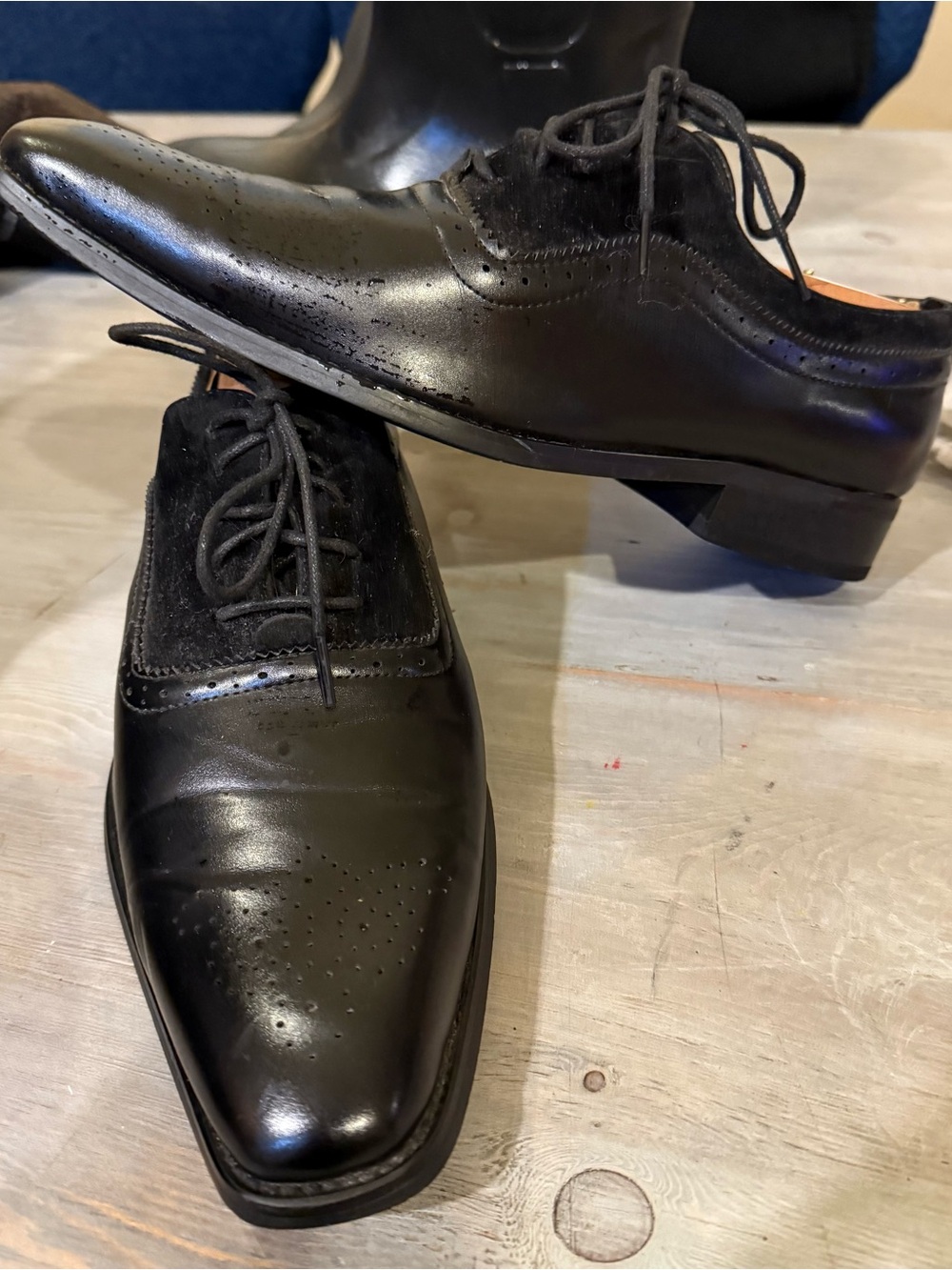 Gino Vitale Men's Lace Up Medallion Toe Dress Shoes